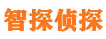 朝阳外遇调查取证